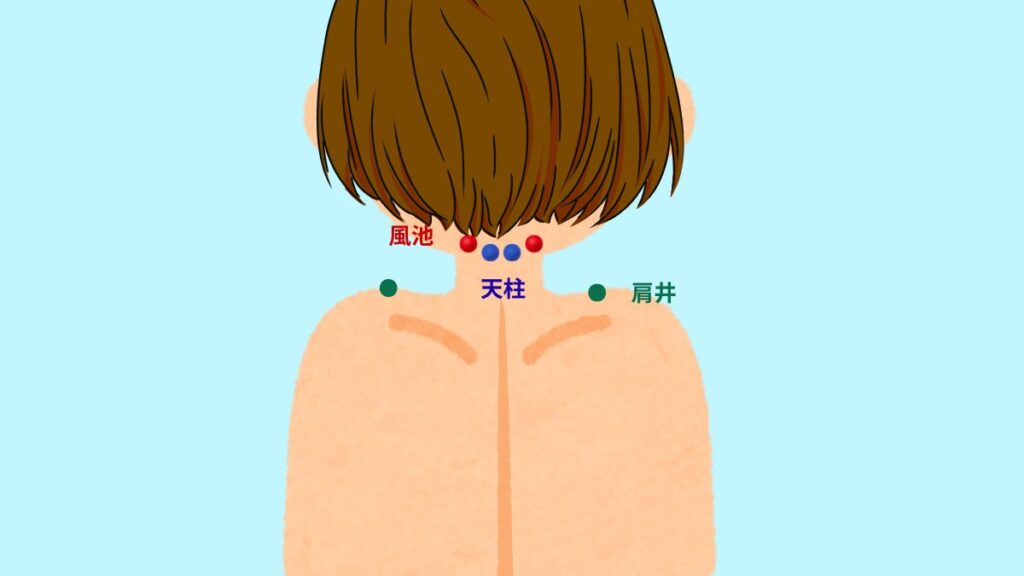 天柱、風池、肩井のツボの位置イラスト