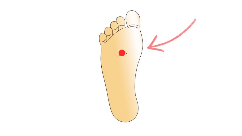 湧泉のイラスト